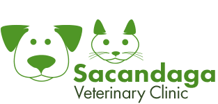 Sacandaga Veterinary CLinic